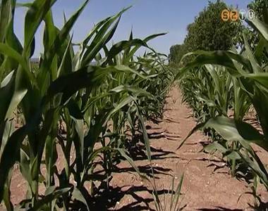 Orsz�gos csapad�khi�ny