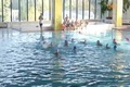 Mindkét AVUS korosztályos csapat győzelemmel kezdte a bajnokságot