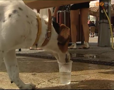 Ism�t vizet oszt a tart�s k�nikula miatt a Vasiv�z ZRt.