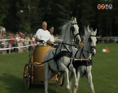 Els� alkalommal szerveztek Nemzetk�zi Fogathajt� Fesztiv�lt a Vasi Skanzenben