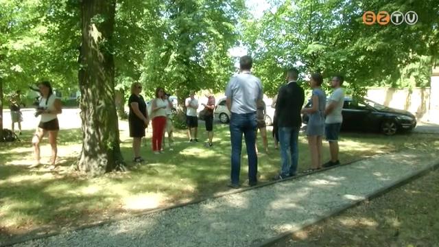 Már lehet szavazni az Év Fájára, köztük a herényi Béke téren álló Erzsébet-hársakra is Már lehet szavazni az Év Fájára, köztük a herényi Béke téren álló Erzsébet-hársakra is