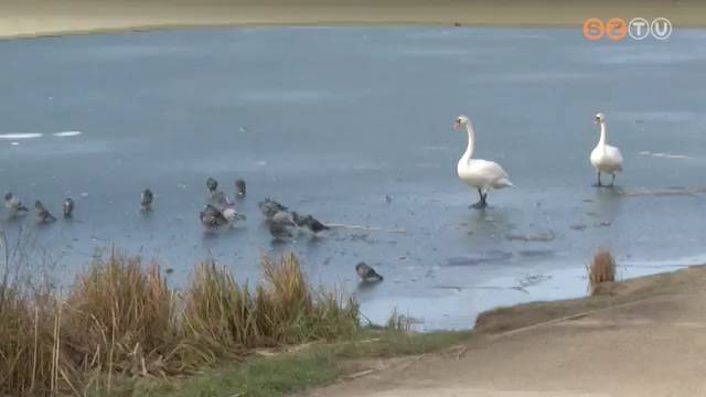 V�kony a j�g - H�rty�sodik a Cs�nak�z�-t�, de tilos r�menni