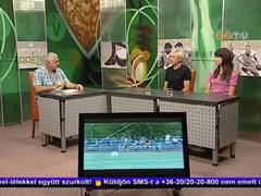 Aréna - 2016. július 4.