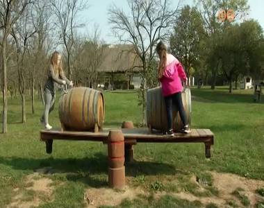 Nyitott pinc�k az oszk�i hegyh�ton