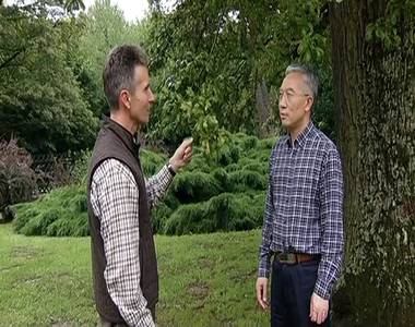 K�nai erd�szek Vas megy�ben