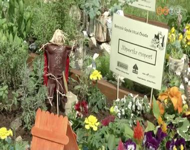 Szent M�rton kertje