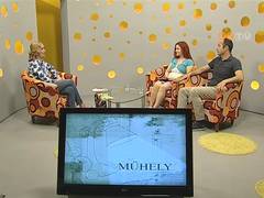 Műhely - 2017. június 13.