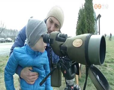 Madármegfigyelés Madármegfigyelés