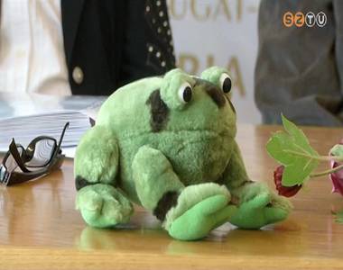 J�t�kony Z�ld B�ka