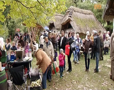 Zs�fol�sig megtelt a h�tv�g�n a c�ki pincesor