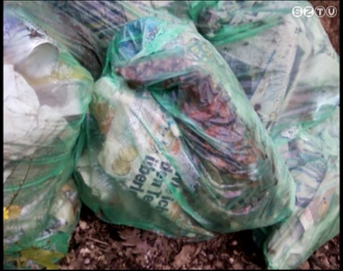 Osztr�k szem�t magyar erd�ben