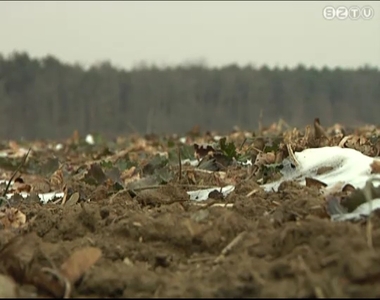 Komoly károkat okoz a mezőgazdaságban az aszály Komoly károkat okoz a mezőgazdaságban az aszály