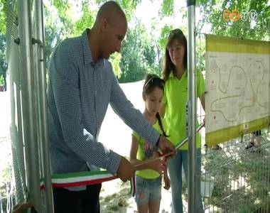 K�tmilli� forintb�l teljesen meg�jult a Mikes Kelemen utcai kutyafuttat� ker�t�se