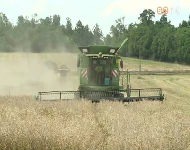 Jav�ban tart az arat�s Vas megy�ben