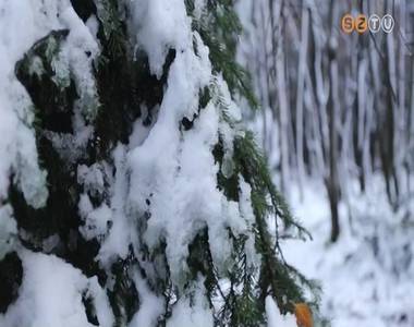 Meg�rkezett az els� h� Vas megy�be