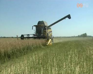 Gabona-betakarítás Gabona-betakarítás