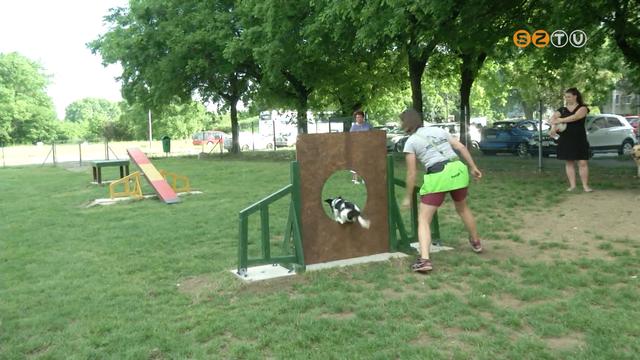 Szombathely négy pontján készít kutyaügyességi pályát a Falco Zrt. Szombathely négy pontján készít kutyaügyességi pályát a Falco Zrt.