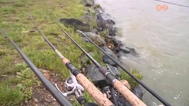 Visszatér az élet a vízpartokra is Visszatér az élet a vízpartokra is