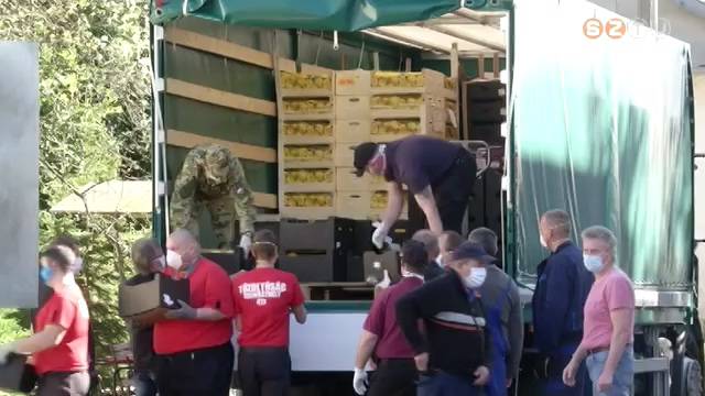 Hatalmas gy�m�lcsadom�ny