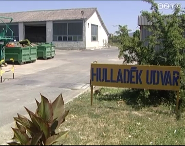 Ingyenes hullad�klerak�s Szombathelyen