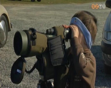 Mad�rmegfigyel� napot tartottak az Ab�rt-t�n�l