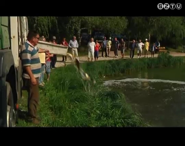 Közel 10 tonna halat telepített a Sporthorgász Egyesületek Vas Megyei Szövetsége Közel 10 tonna halat telepített a Sporthorgász Egyesületek Vas Megyei Szövetsége