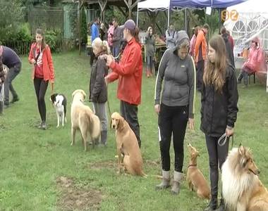 Kutyás piknik Kutyás piknik