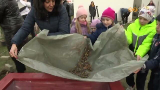 18 magasgyst ptenek s fkat ltetnek az Arna voda udvarn