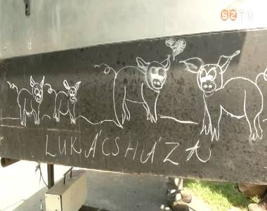 Pusztacs�i malacfesztiv�l