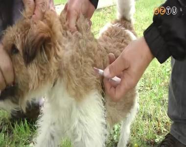 Megkezd�d�tt az ebolt�s a v�rosban