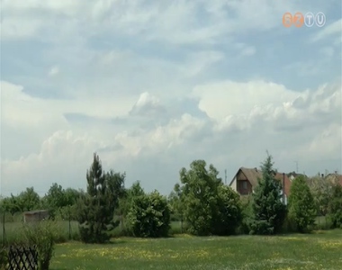 Szesz�lyes az idei tavasz