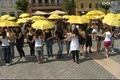 Quadrille Európai Táncfesztivál 