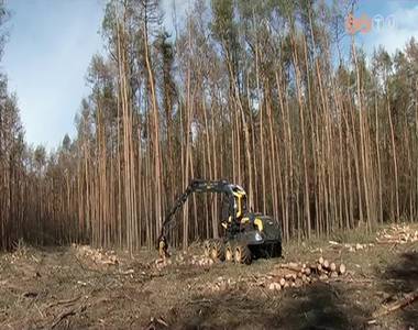 Erd�szeti g�pbemutat�