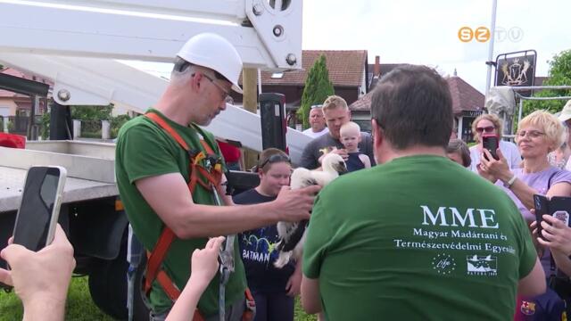 vrl vre tbb rdekldt vonz a fehrglya-fikk ltvnygyrzse