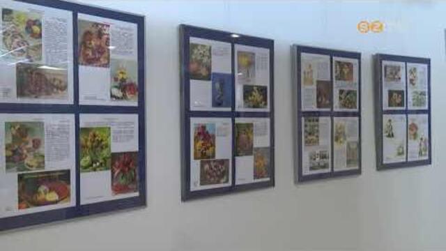 36. alkalommal tartottk meg a kpeslevelezlap-gyjtk orszgos tallkozjt