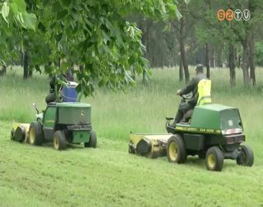 A szokásosnál szeszélyesebb időjárás megnehezíti a városi parkfenntartó munkáját A szokásosnál szeszélyesebb időjárás megnehezíti a városi parkfenntartó munkáját