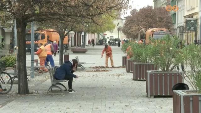 Példa nélküli köztisztasági programot indított Szombathely Példa nélküli köztisztasági programot indított Szombathely