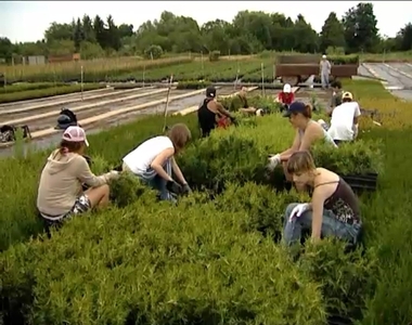 Dolgozó diákok Dolgozó diákok