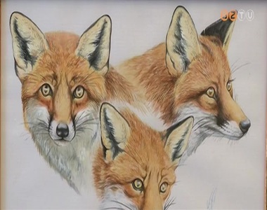 Vad�szok, de egyben k�pz�m�v�szek is