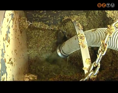 Sz�ret idej�n �gyelni kell a keletkez� mustg�zra is