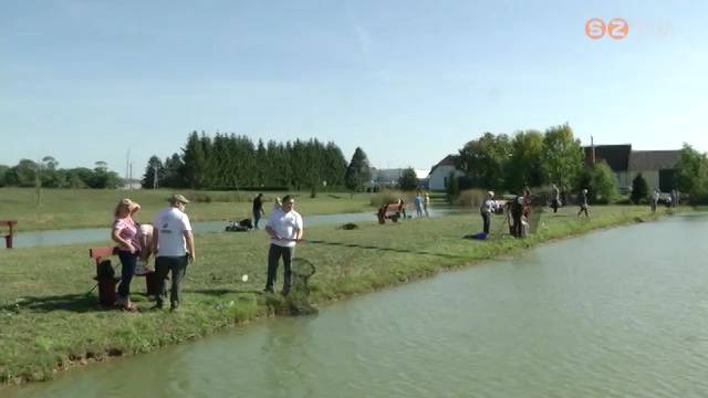 Integr�lt Horg�sznap