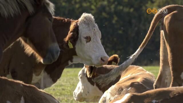 Sznes programokkal vrja az rdekldket az rsgi Nemzeti Park Igazgatsg mjusban