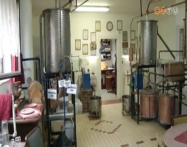 Nagy�zem van a p�linkaf�zd�kben