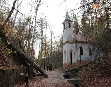 Rádőlt egy óriási bükkfa a szentkúti kegyhegy kápolnájára Rádőlt egy óriási bükkfa a szentkúti kegyhegy kápolnájára