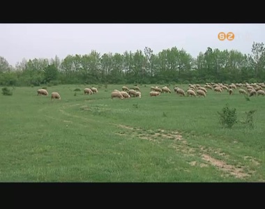 Szombathelyhez ker�l a rept�r melletti ter�let