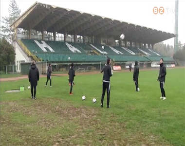 Z�ld-feh�r rangad� Budapesten