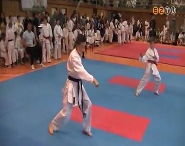 12 darab Leo Karate-do SE �rem