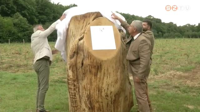 Emlékerdőt hoznak létre Emlékerdőt hoznak létre