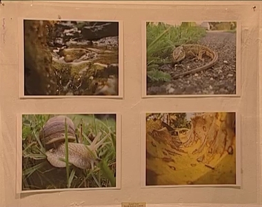 Vasi kzpiskolsok kpzmvszeti killtsa
