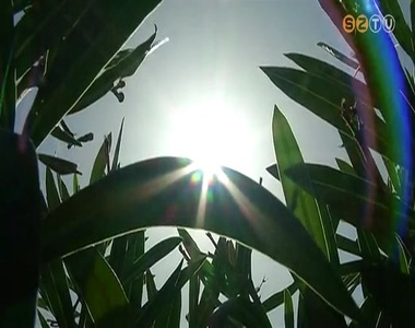 OMSZ: Tikkasztó hőségre kell számítani péntekig OMSZ: Tikkasztó hőségre kell számítani péntekig